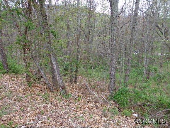 Property image 1 at 000 Ray Street, Waynesville, NC 28786