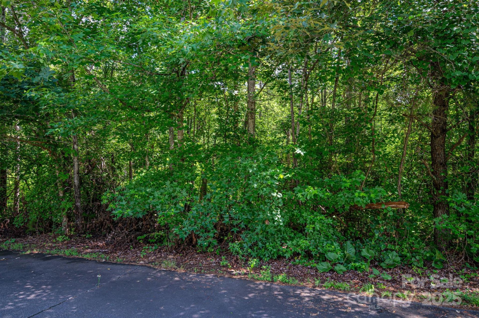 Property at Lot 32 Line Drive, Forest City, NC 28043