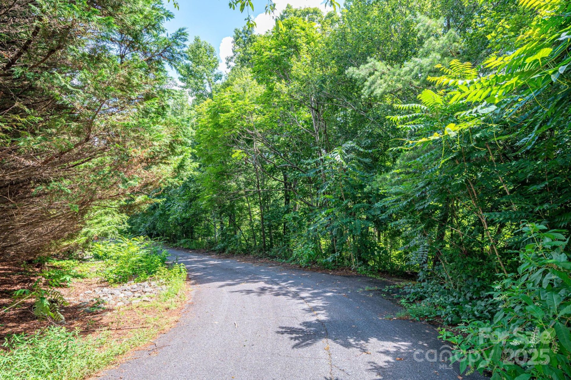 Property at Lot 20 Line Drive, Forest City, NC 28043