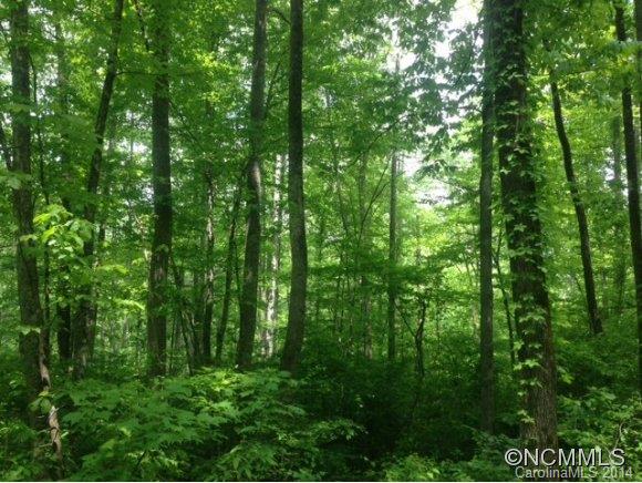 Property image 1 at Lot 14 Old Tannassie, Sylva, NC 28779