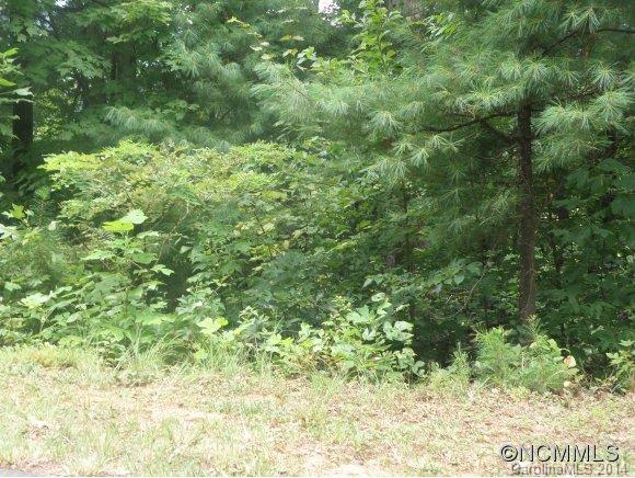Property image 1 at Lot 8 Oak Grove Plantation, Leicester, NC 28748