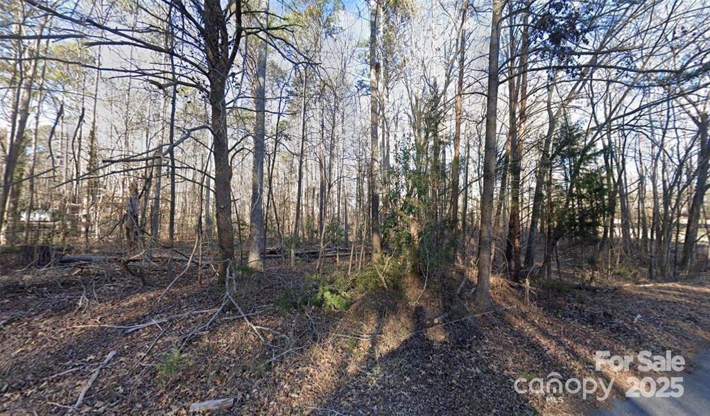 Property at 2060 Berrywood Lane, Clover, SC 29710