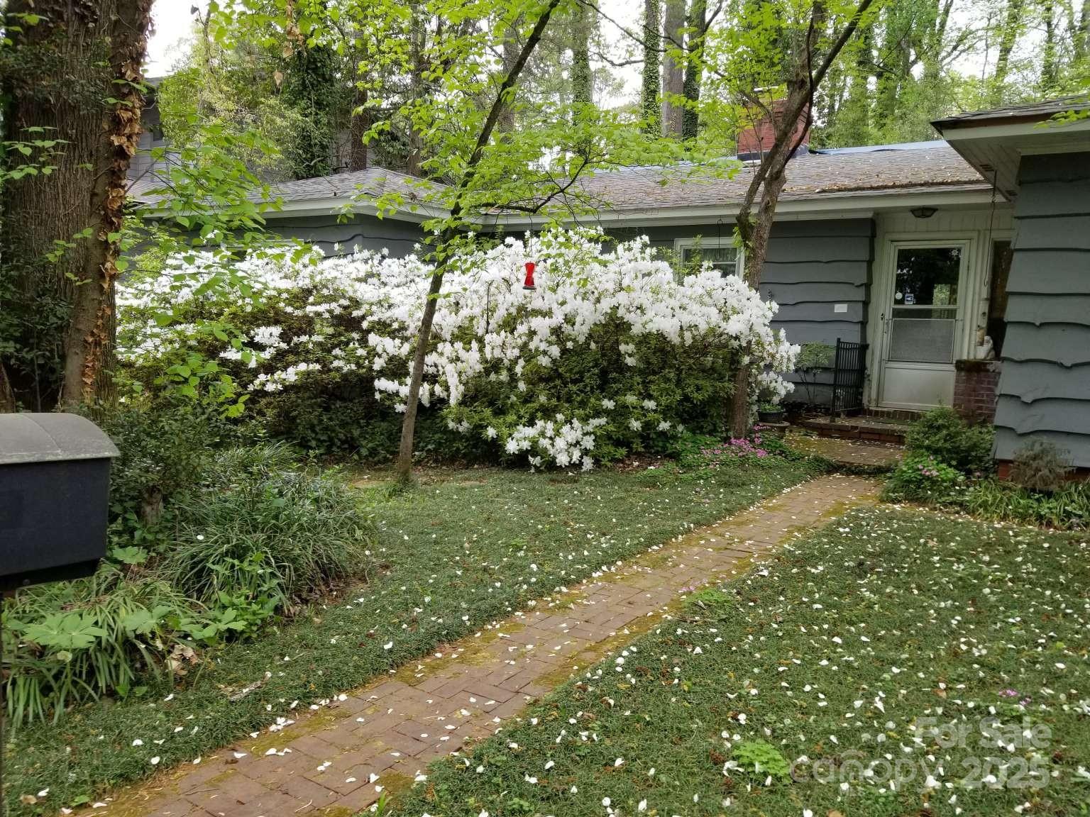 Property at 133 Wonderwood Drive, Charlotte, NC 28211