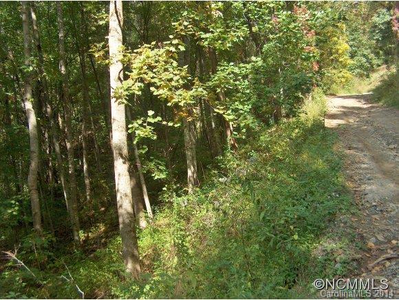 Property image 1 at Lot 175 Wills Way, Canton, NC 28716