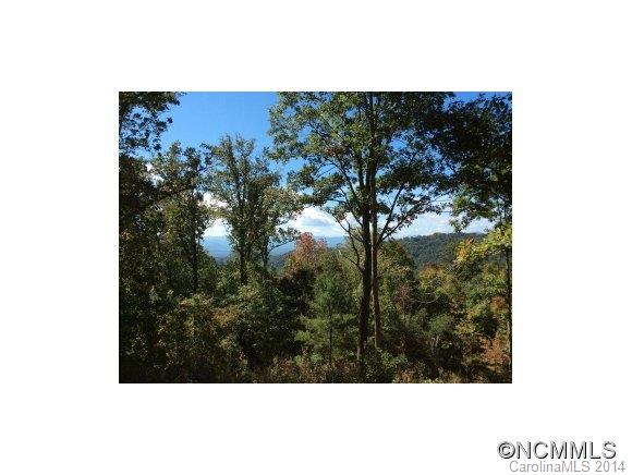 Property image 1 at 9999 Mt Olive Church Rd, Asheville, NC 28804