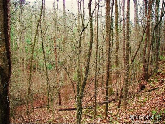 Property image 1 at , Lake Lure, NC 28746