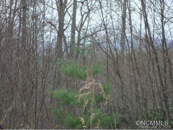 Property image 1 at 308 Kindling Trail, Horse Shoe, NC 28742