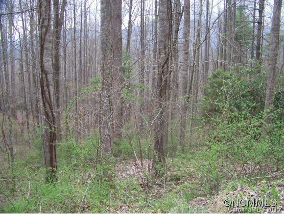 Property image 1 at 0 Dawn Valley Road, Waynesville, NC 28785