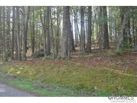 Property image 1 at N A Larchmont Drive, Hendersonville, NC 28791