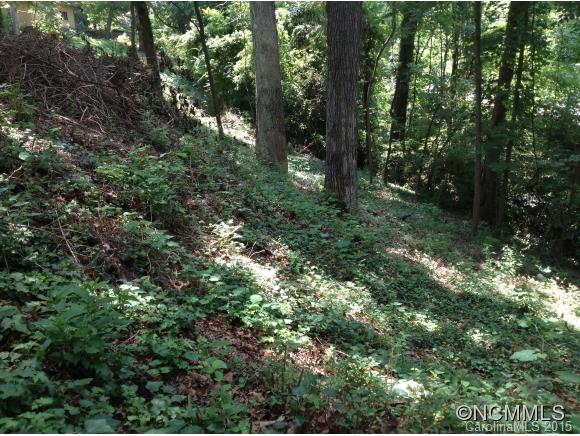 Property image 1 at 99999 Parker Rd, Asheville, NC 28803
