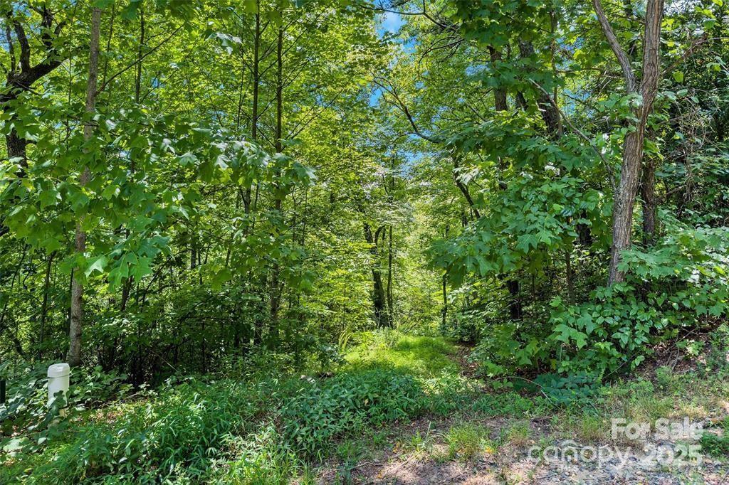 Property at 144 Galax Drive, Black Mountain, NC 28711