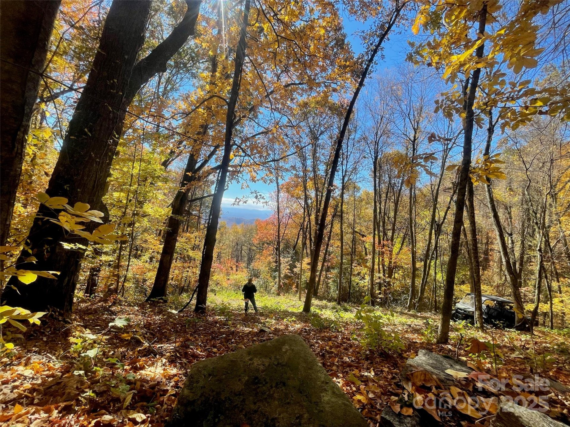 00000 New Sprout Lane