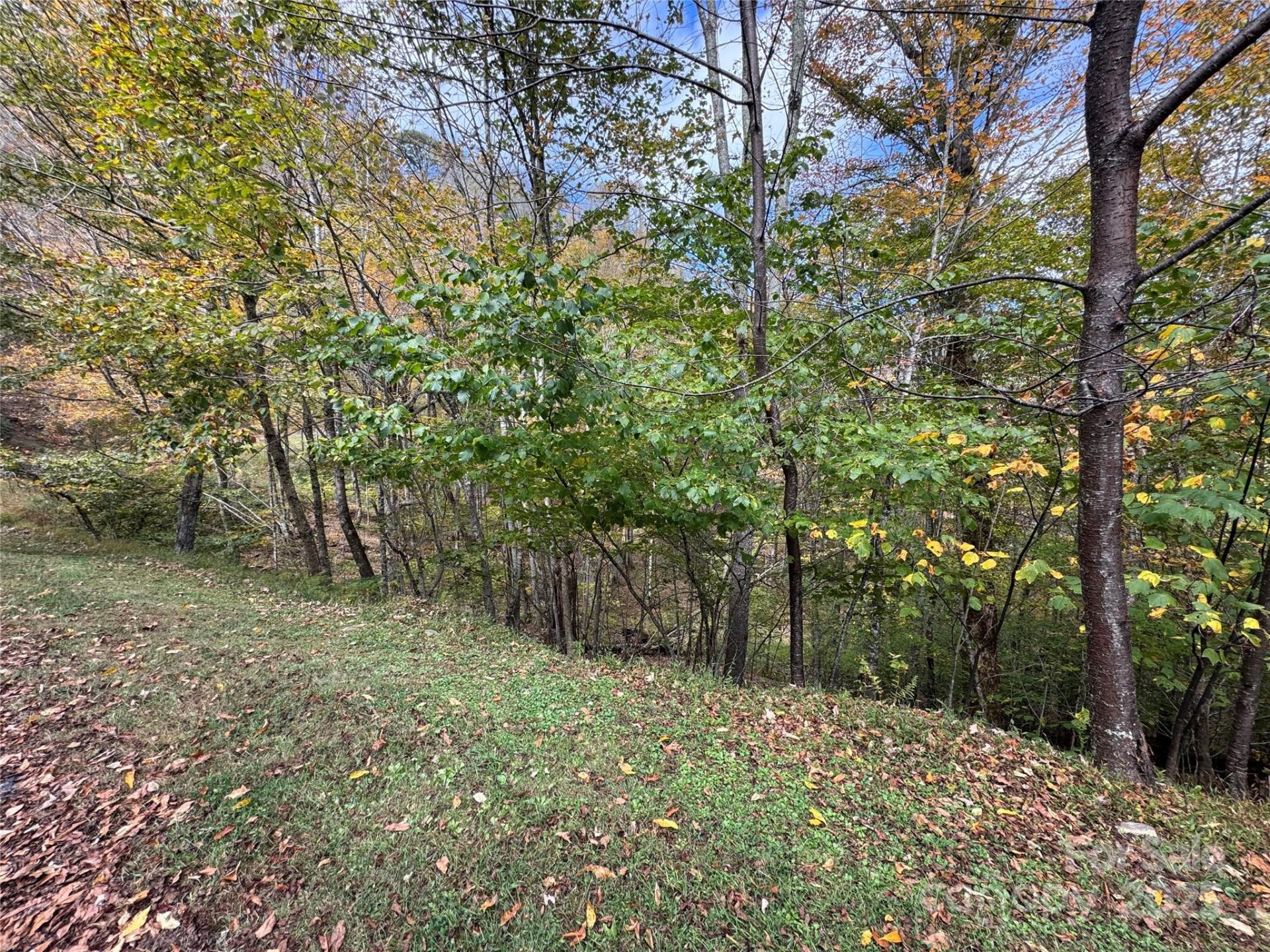 Property at 92 Goldenleaf Drive, Mars Hill, NC 28754