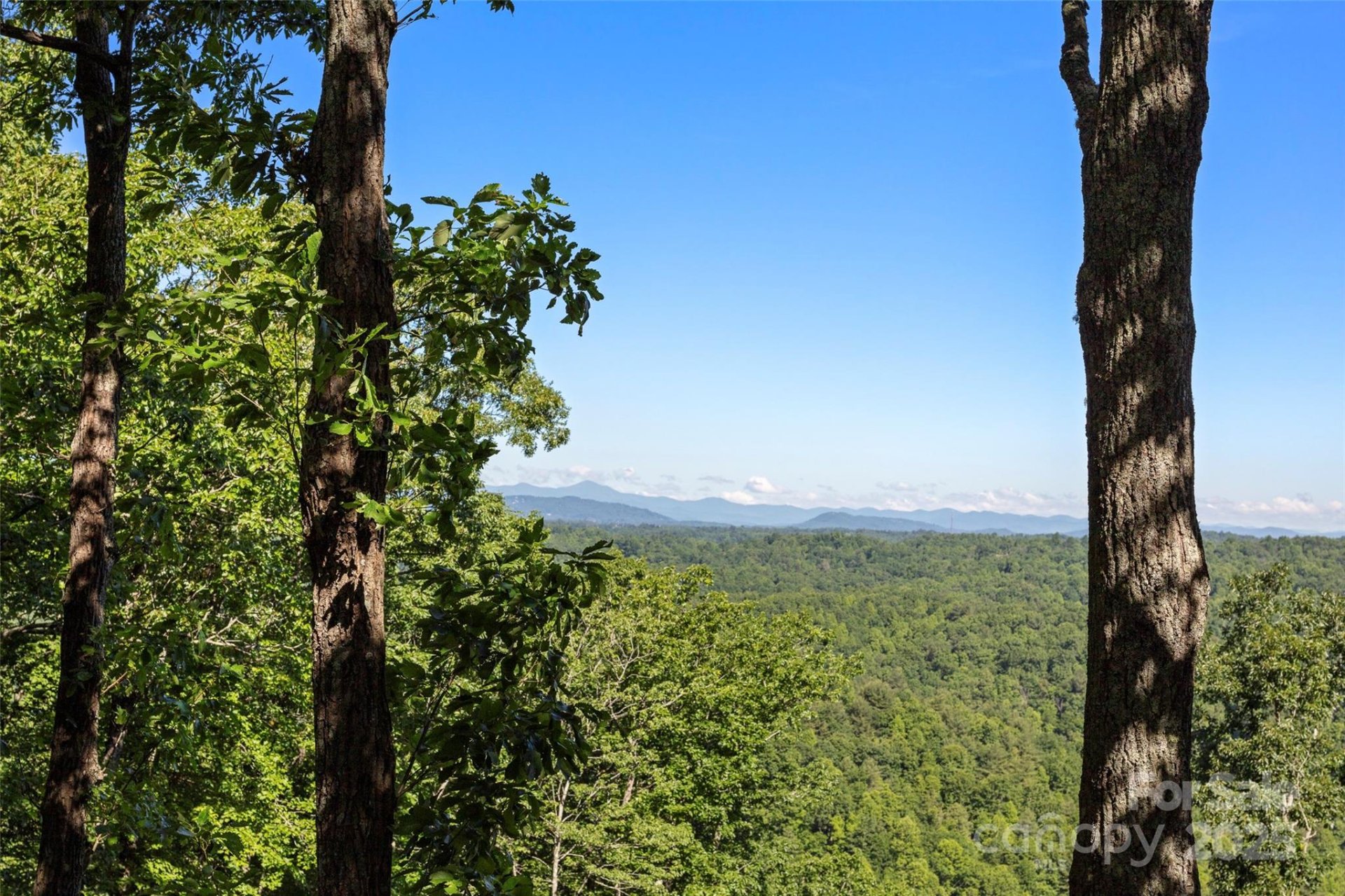 Property at 270 Ridge Drive, Saluda, NC 28773