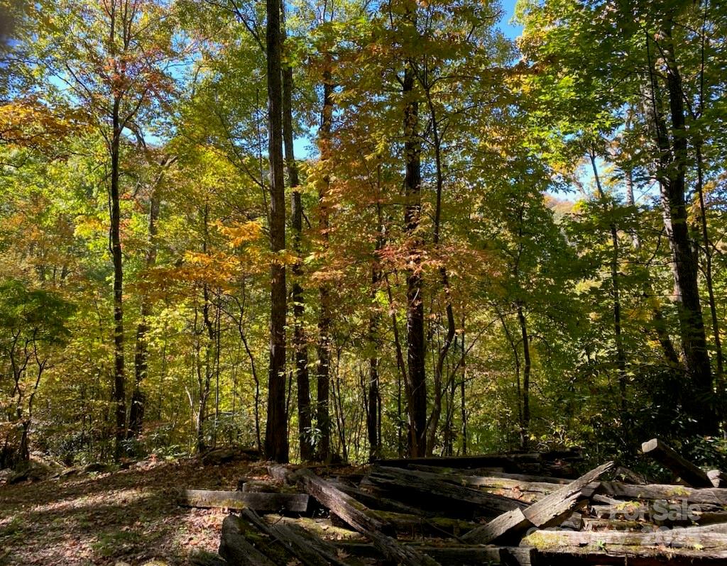 Property at Lot A38 Tawodi Trail, Maggie Valley, NC 28751