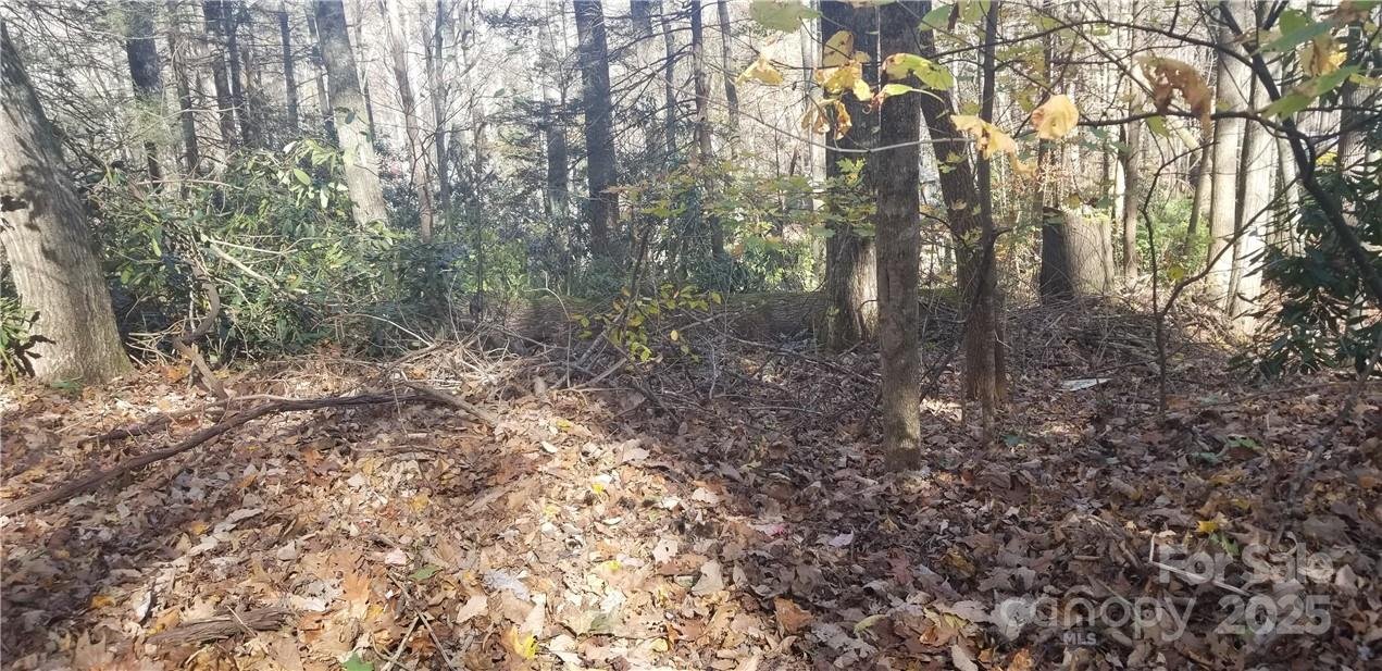 Property at Lot C31 Shady Lane, Maggie Valley, NC 28751