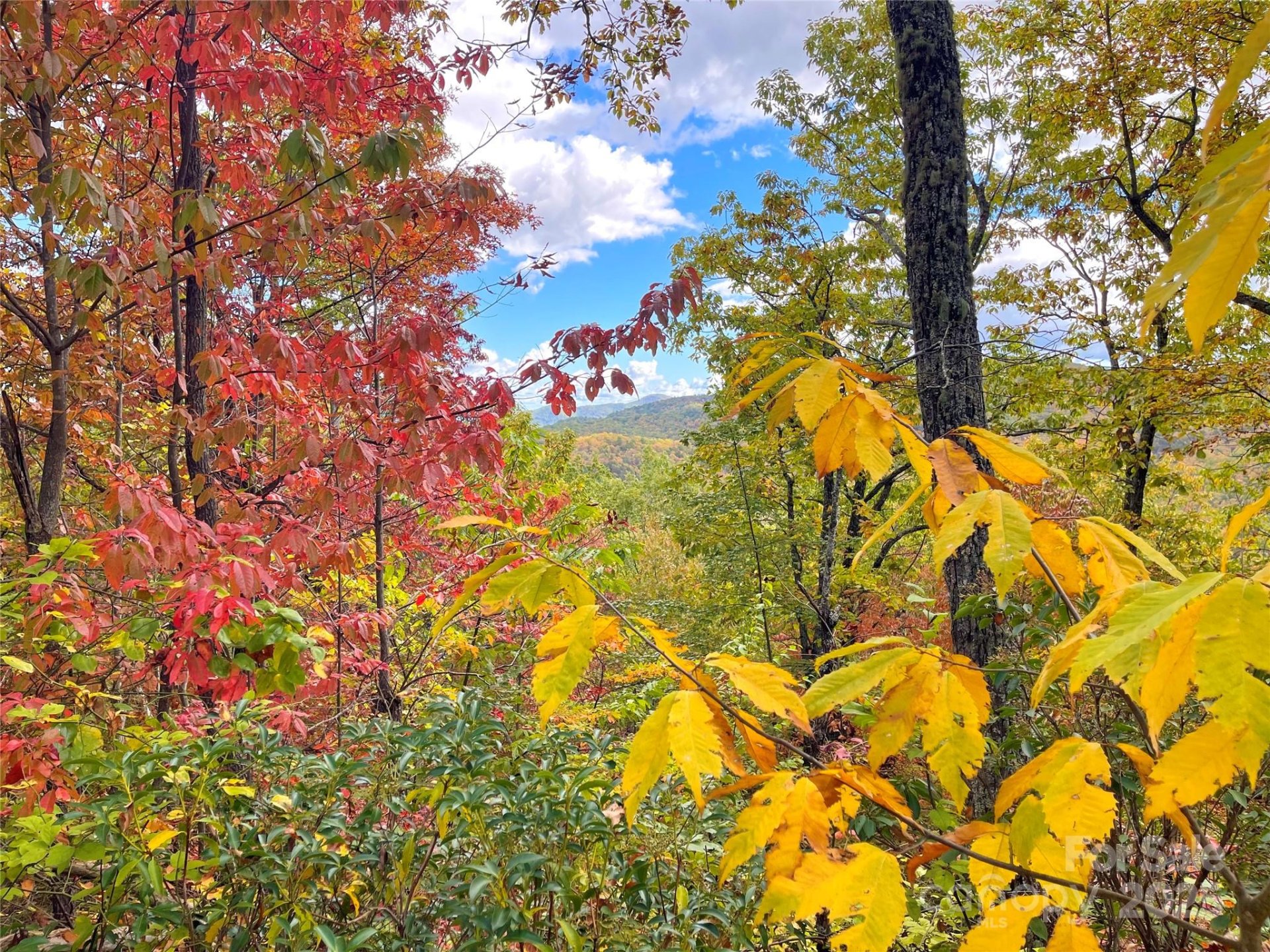 Property at 57 Grouse Ridge Drive, Black Mountain, NC 28711