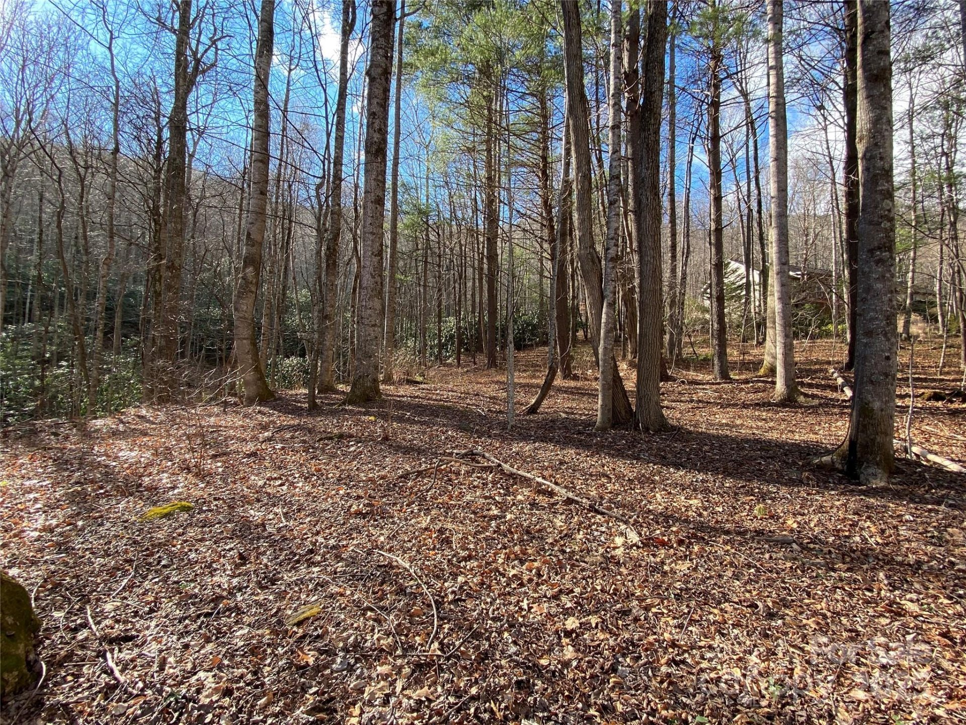 Property at 99999 Laurel Branch Drive, Black Mountain, NC 28711