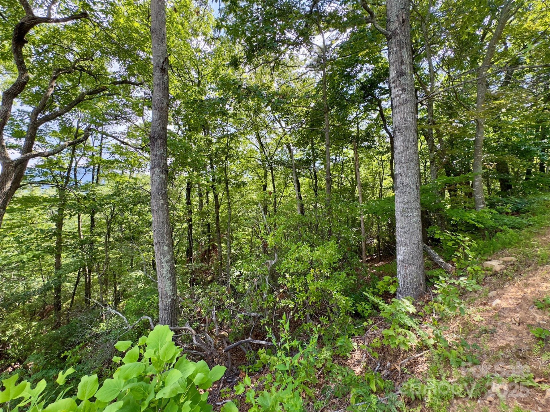 Property at 94 Galax Drive, Black Mountain, NC 28711