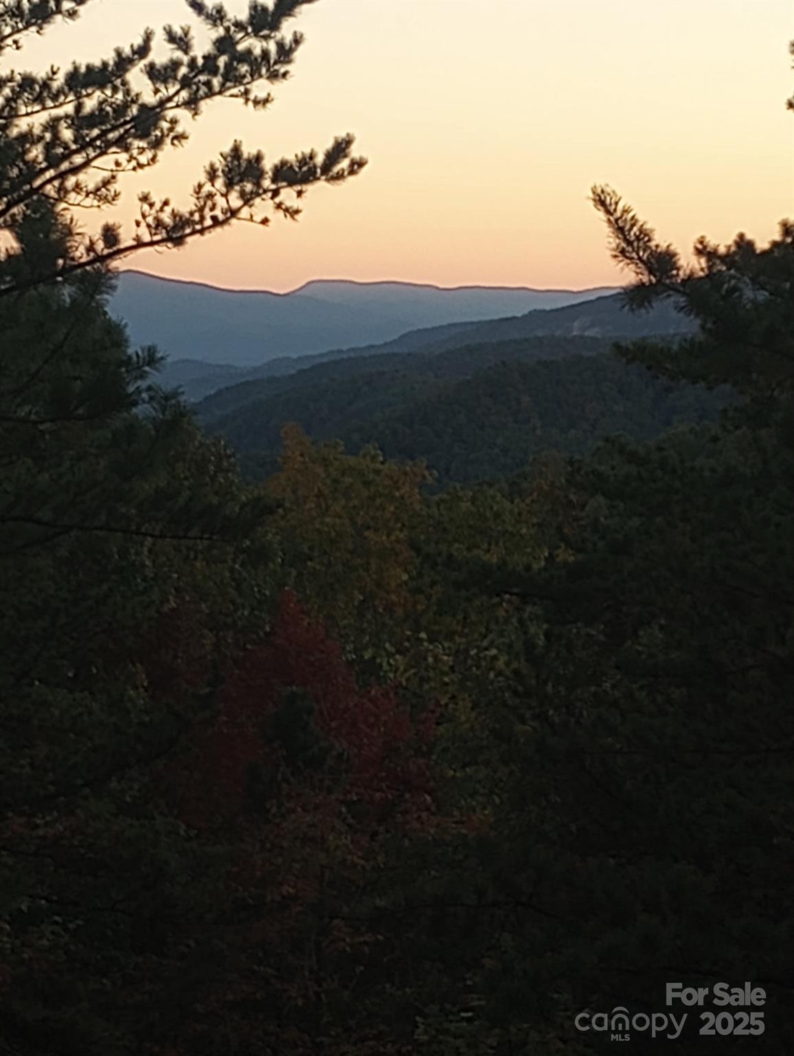 Property at 9999 Sassafras Drive, Old Fort, NC 28762