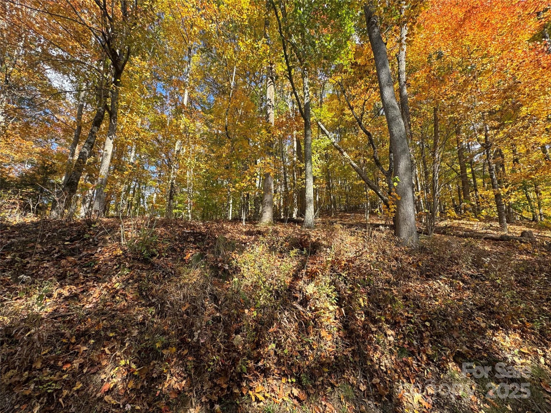 Property at 678 679 El Miner Drive, Mars Hill, NC 28754