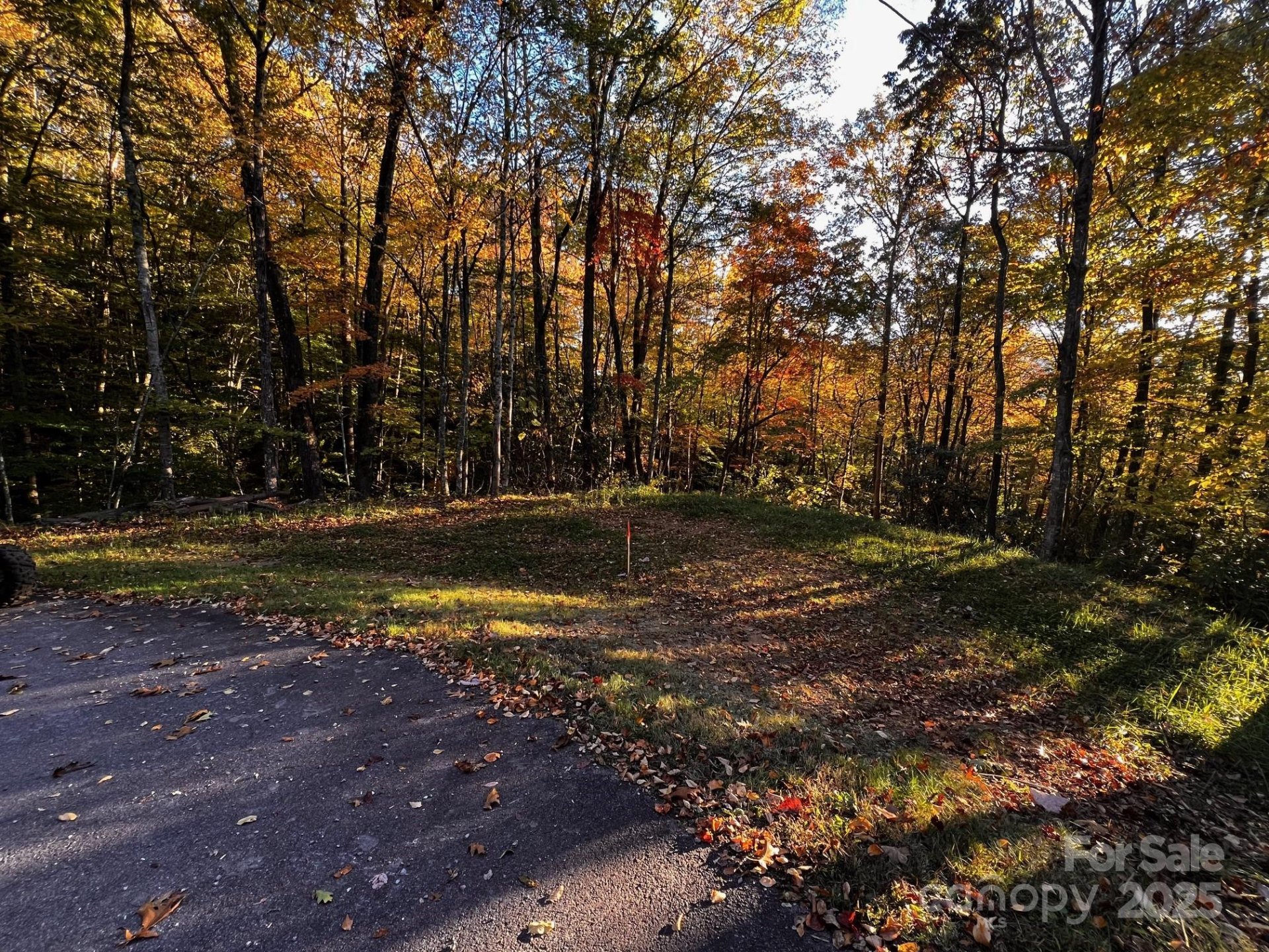 Property at 00 Rocky Face Drive, Canton, NC 28716