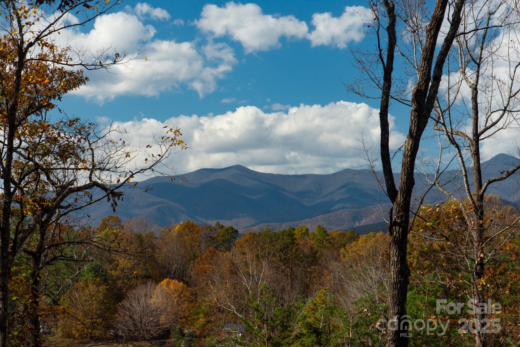 Property at 154 South Slope Lane, Old Fort, NC 74848