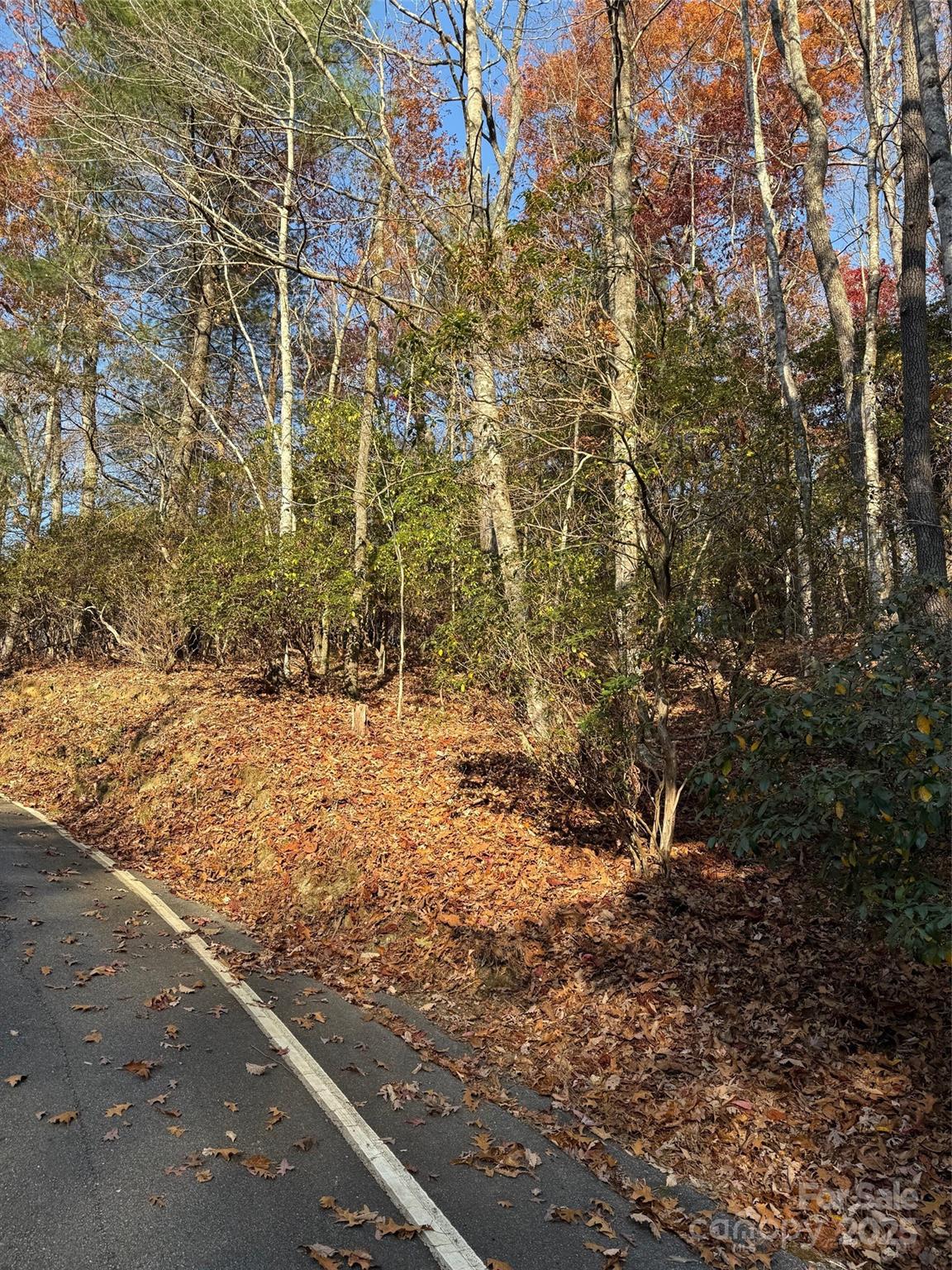 Property image 1 at 377 Tsisqua Circle, Brevard, NC 28712