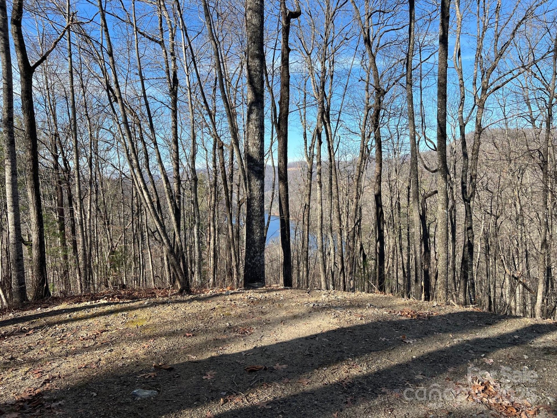 762 Scarlet Oak Road