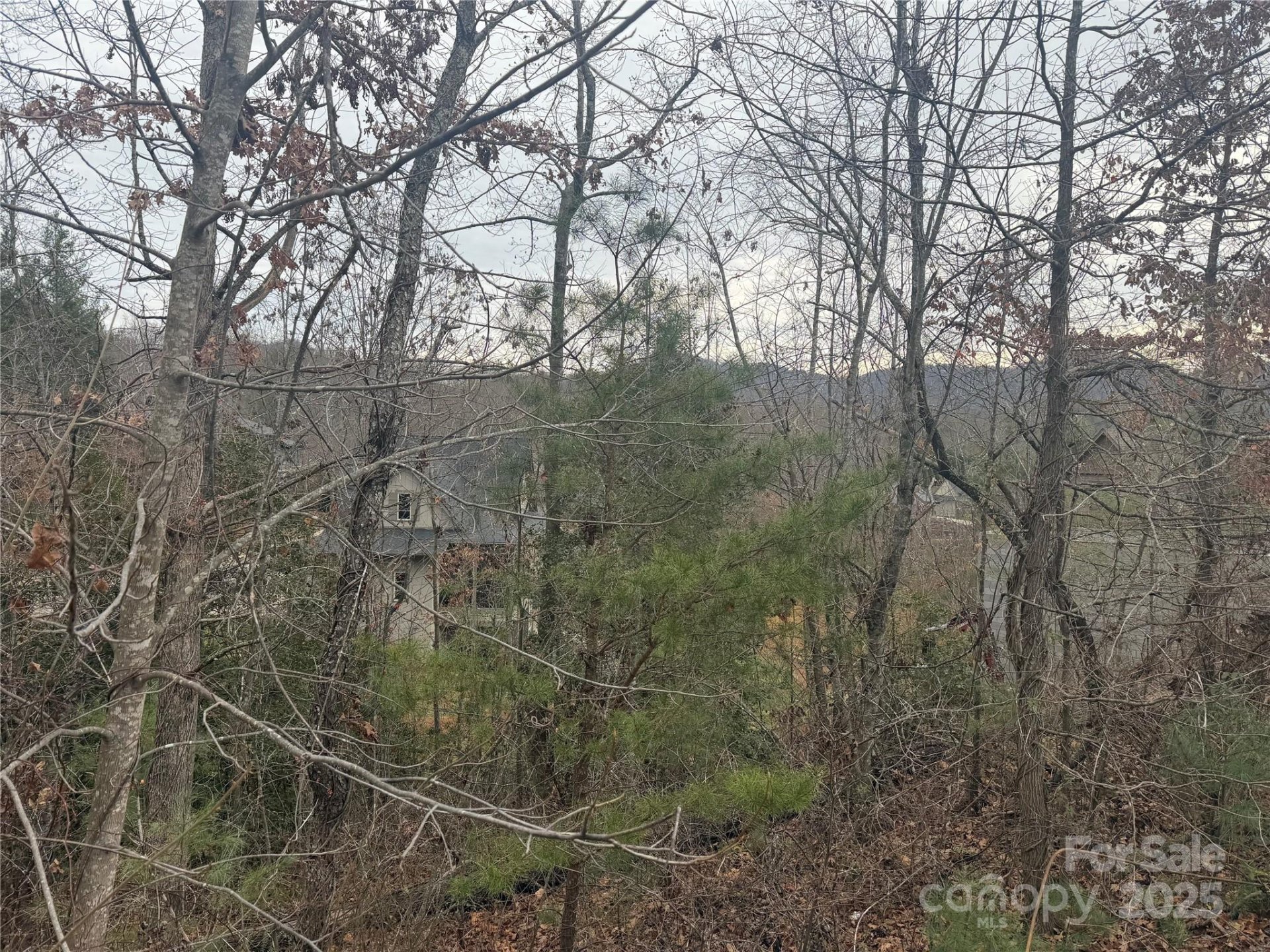 Property image 1 at 51 Versailles Lane, Asheville, NC 28804