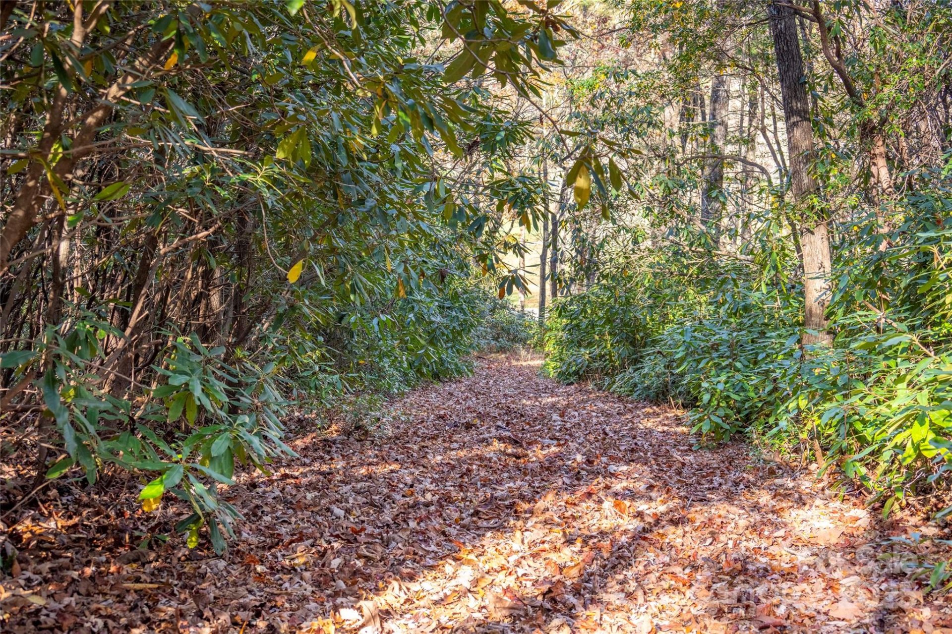 L 9a R Old Mine Point, Lake Toxaway