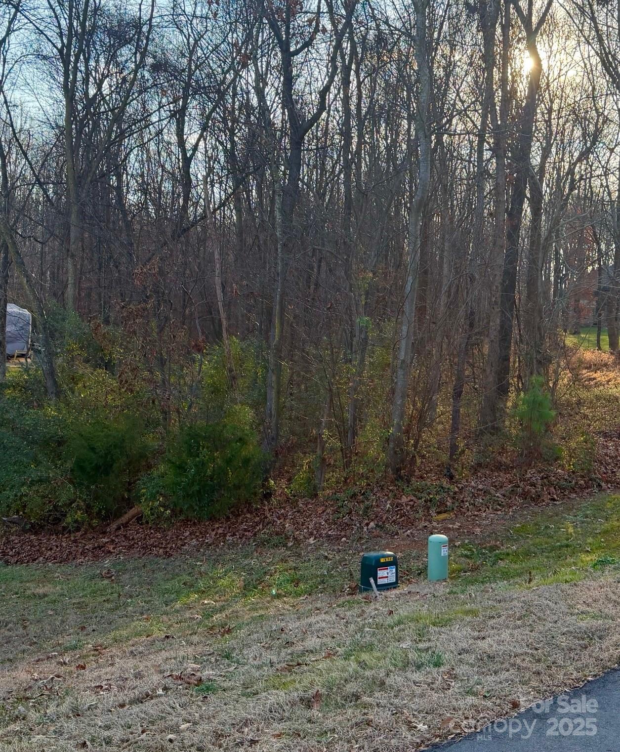 2010 Parrothead Drive