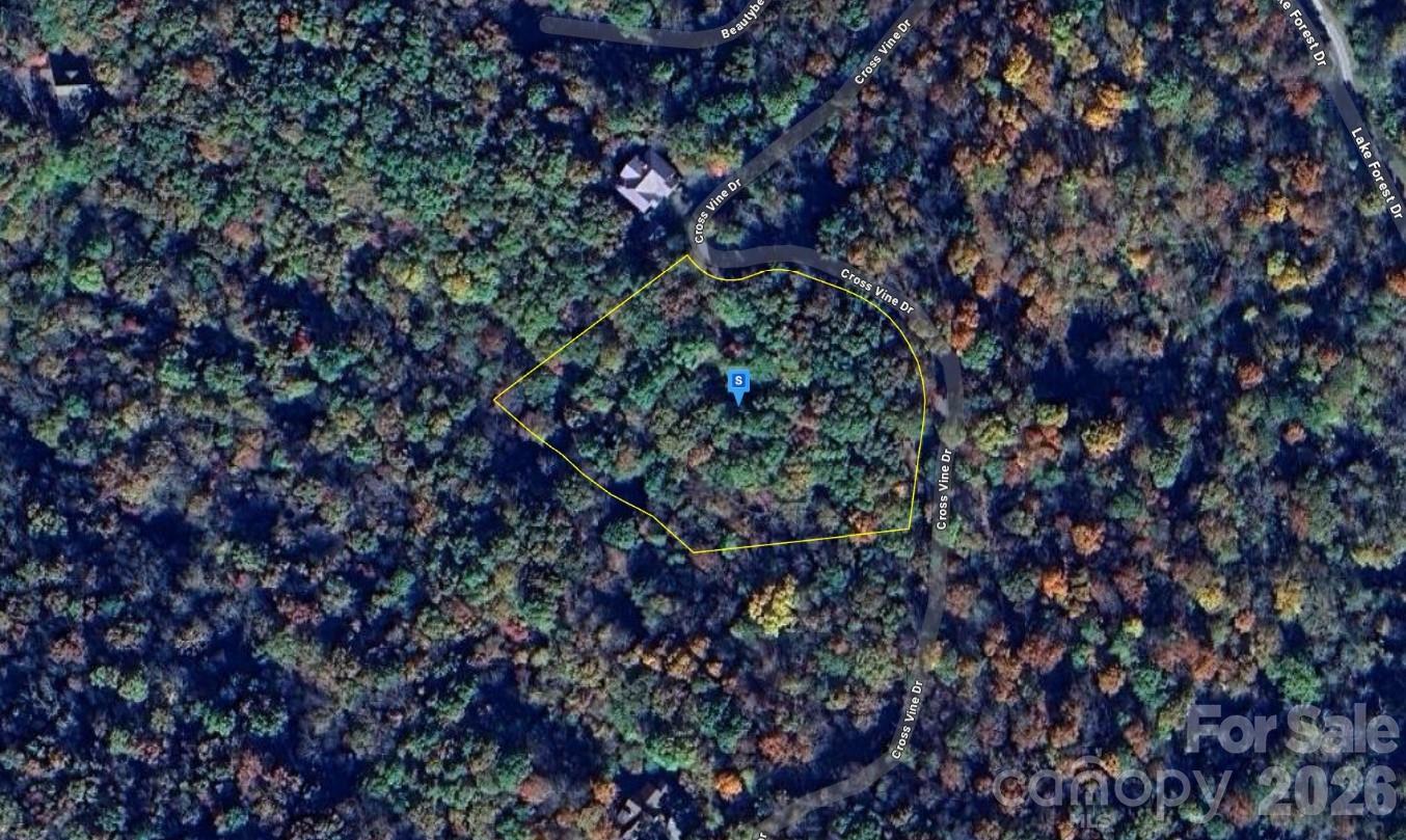 243 Cross Vine Drive