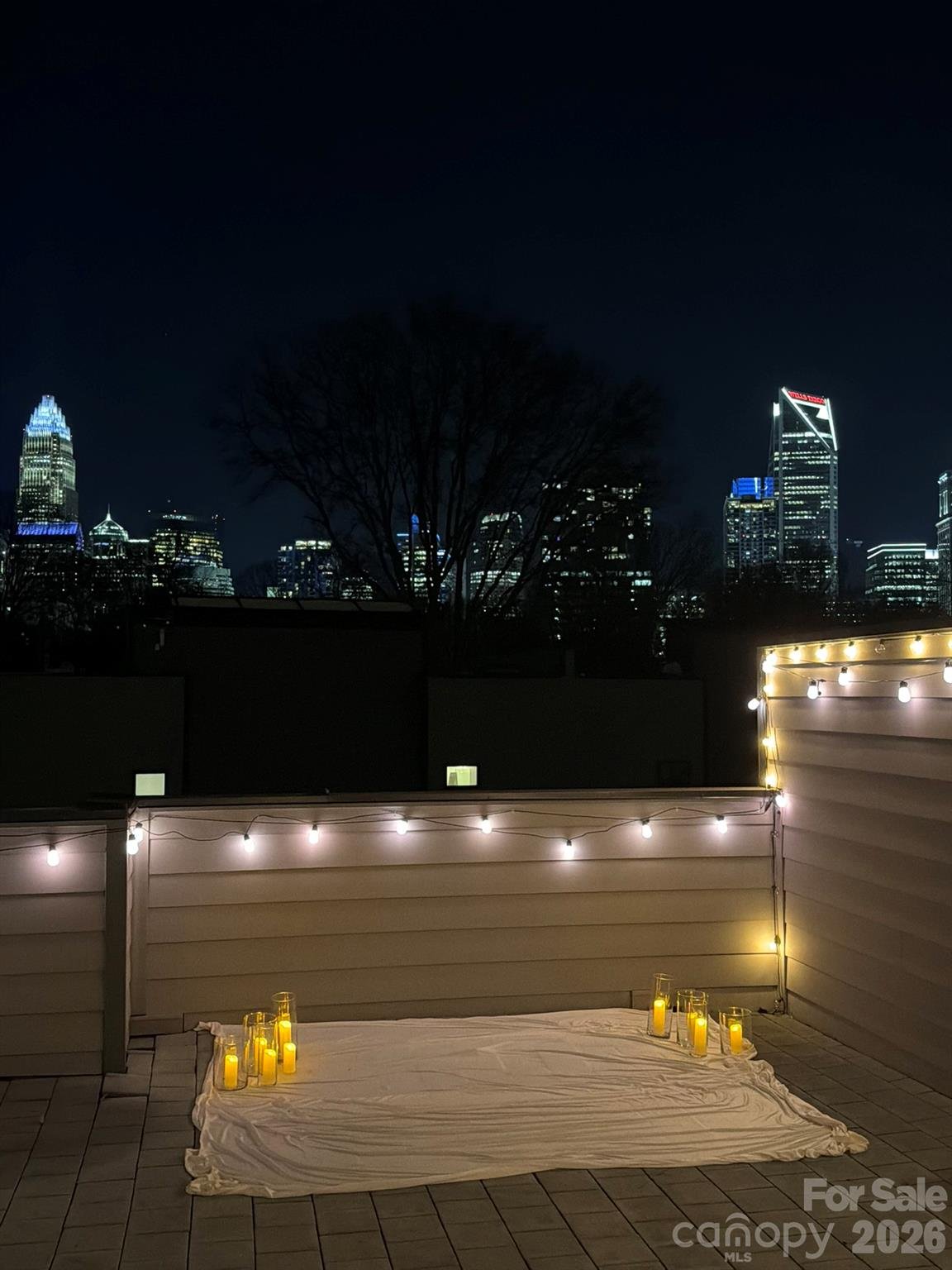 Third Ward, Charlotte community