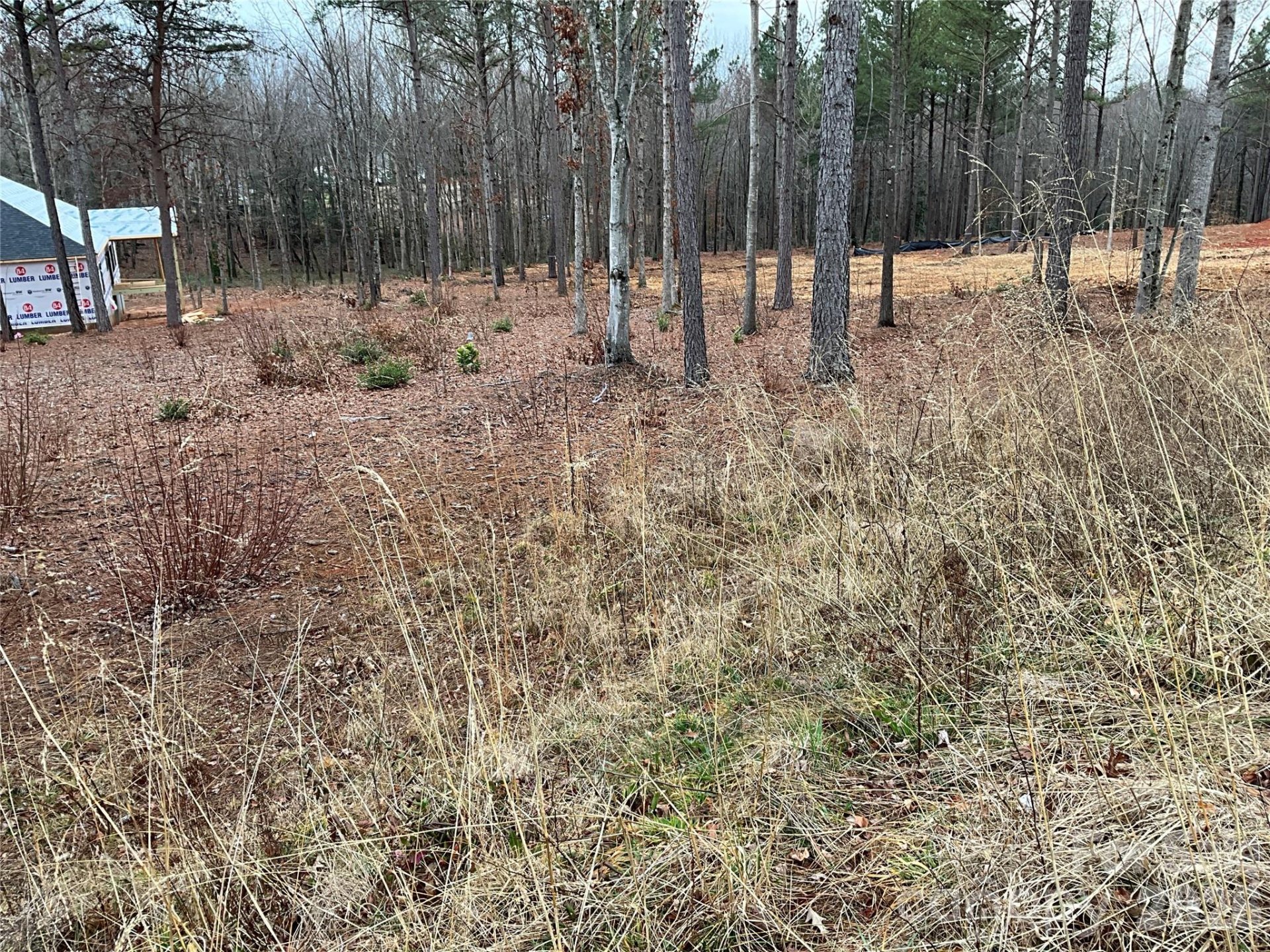 Hickory Point, Taylorsville community