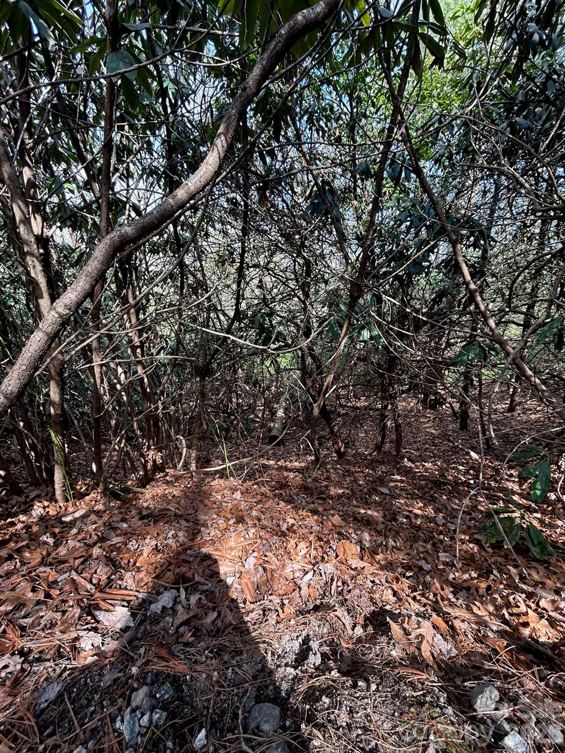 High Peak Lake Estates, Hendersonville community