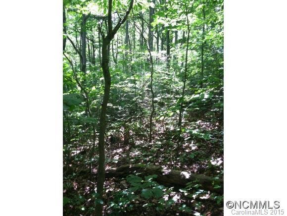 Property image 1 at Tbd Hawk Ridge 2 77Acre, Asheville, NC 28804