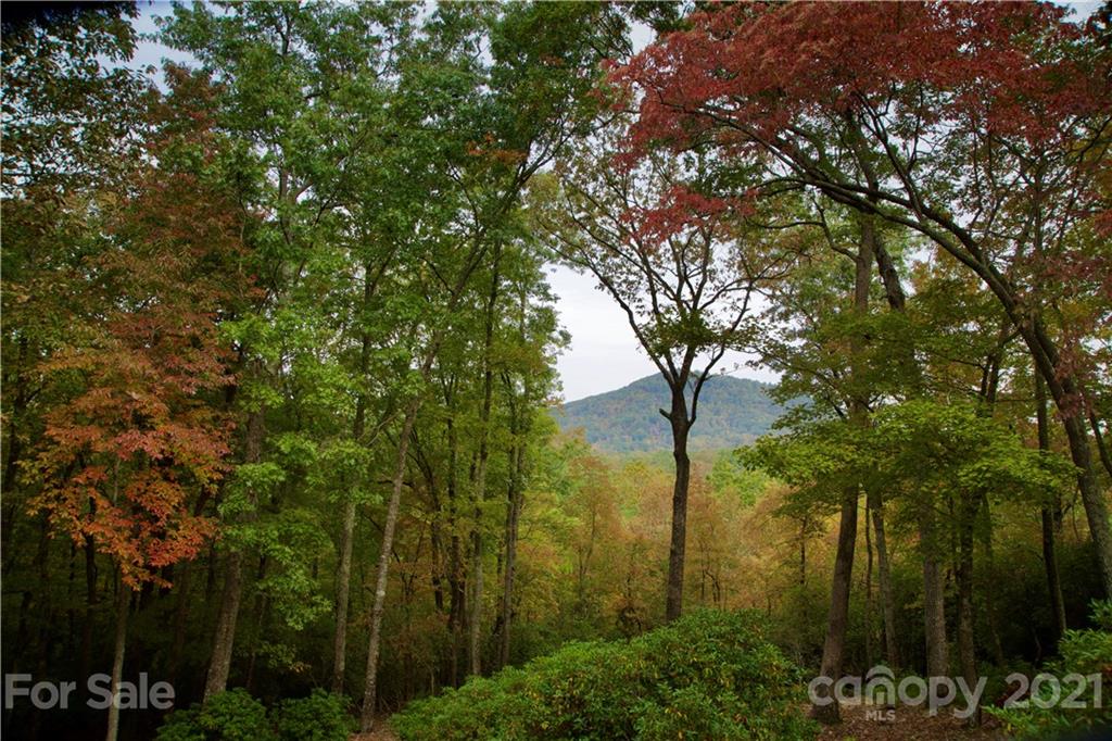 Property image 1 at 105 Misty Valley Parkway, Arden, NC 28704