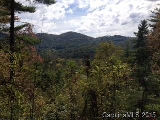 Property image 1 at 9999 Black Oak Drive, Asheville, NC 28804
