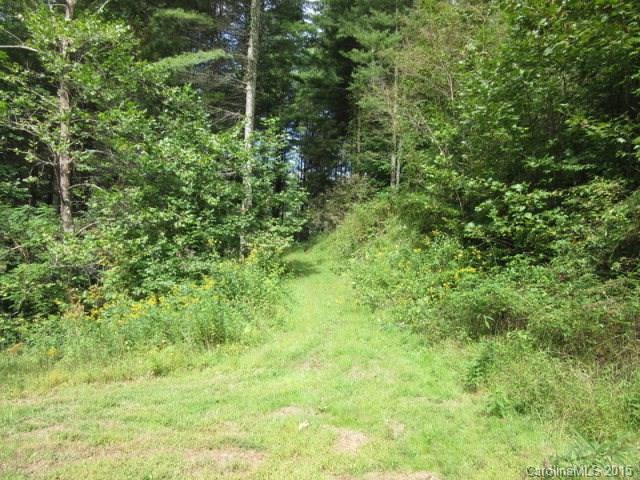 Property image 1 at 0 Big Rock Drive, Bakersville, NC 28705