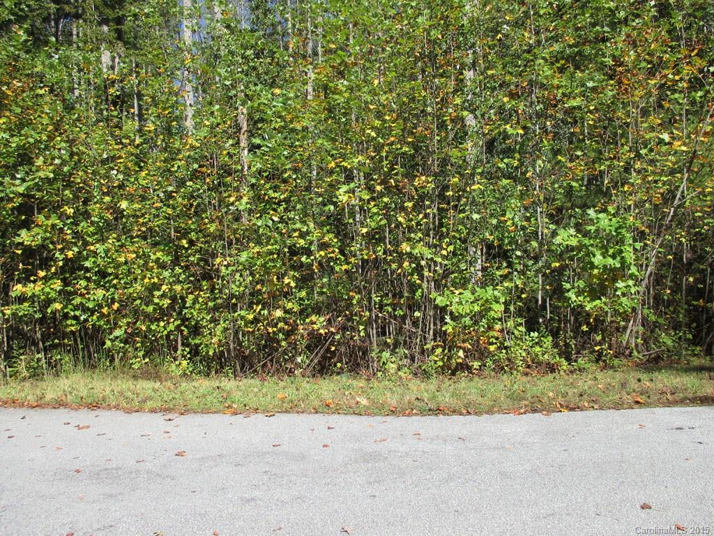 Property image 1 at 160 N Ridgeview Hill Drive, Hendersonville, NC 28792