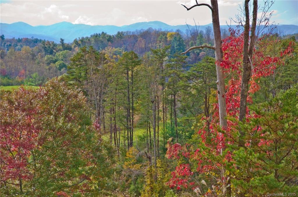 Property image 1 at 108 Ivy Meadows Drive, Weaverville, NC 28787