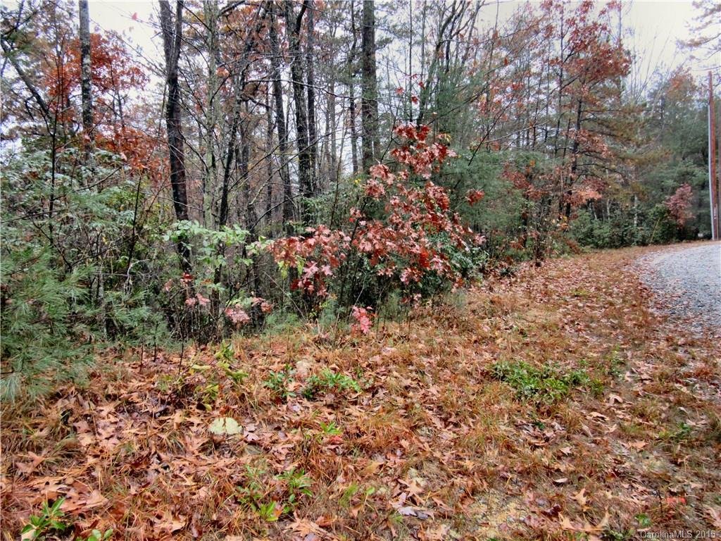 Property image 1 at Lot 10 Oak Laurel Road, Brevard, NC 28712