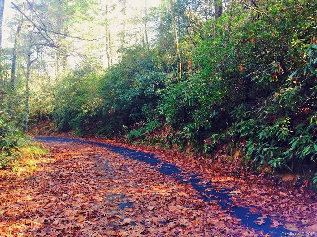 00 Dogwood Mountain Road