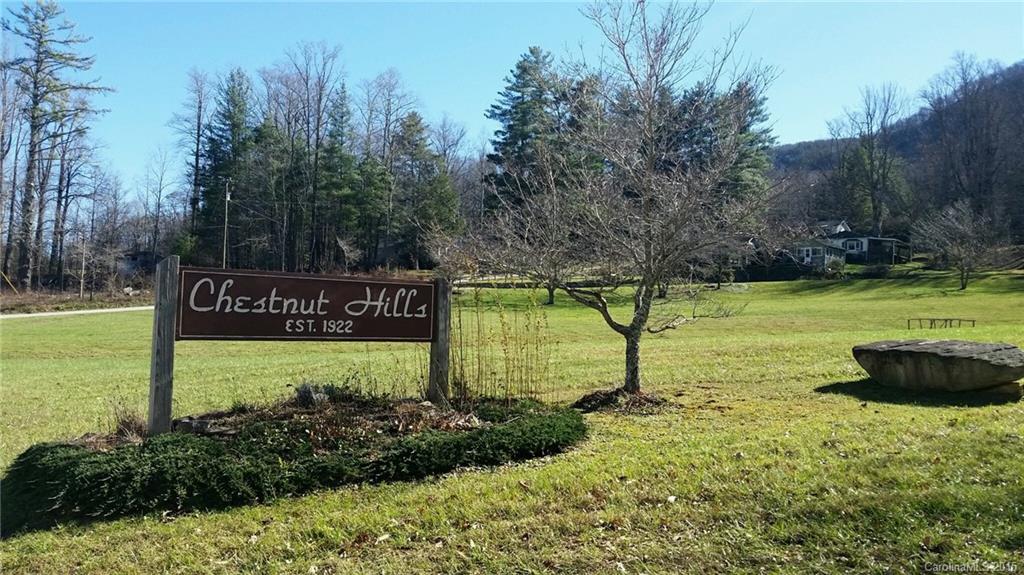 Property image 1 at 000 Chestnut Hill Loop, Gerton, NC 28735