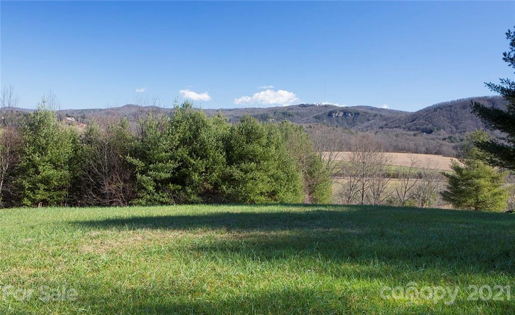 Property image 1 at 33 Dover Lane, Brevard, NC 28712