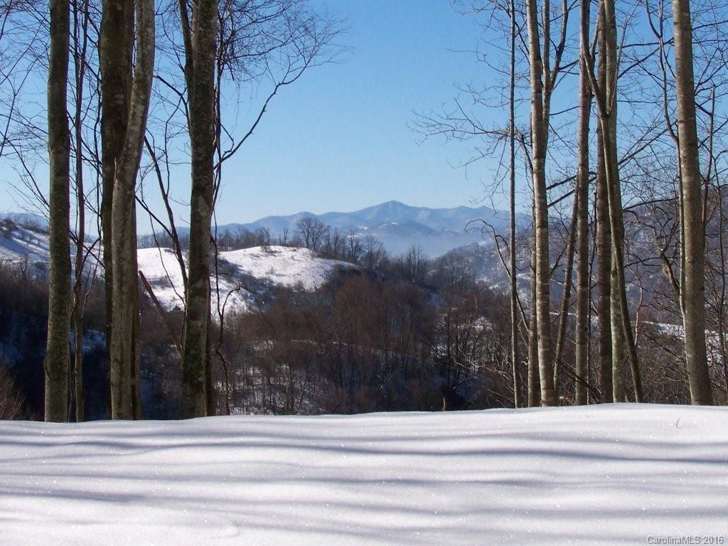 Property image 1 at 99999 Sunset Falls Drive, Clyde, NC 28721