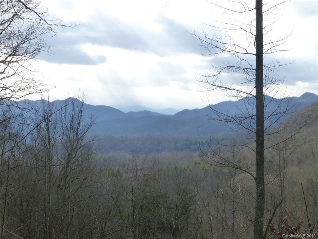 Property image 1 at 6 Christmas Tree Lane, Candler, NC 28715