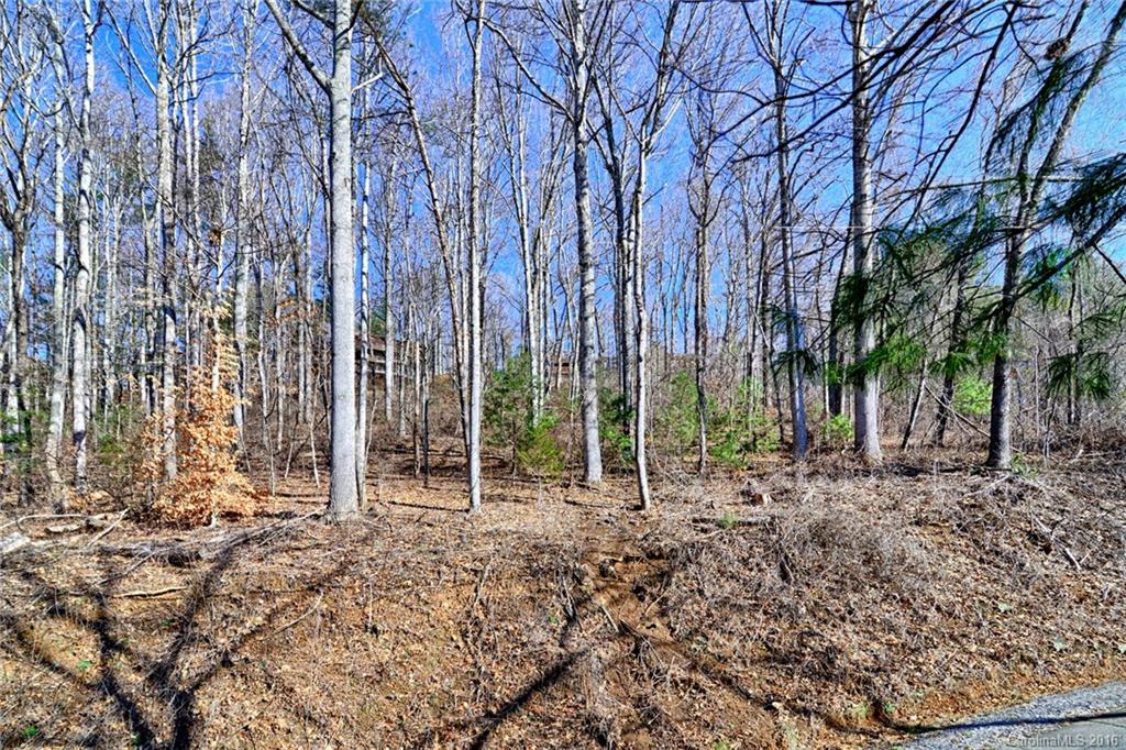 Property image 1 at 110 Buffalo Trail, Asheville, NC 28805