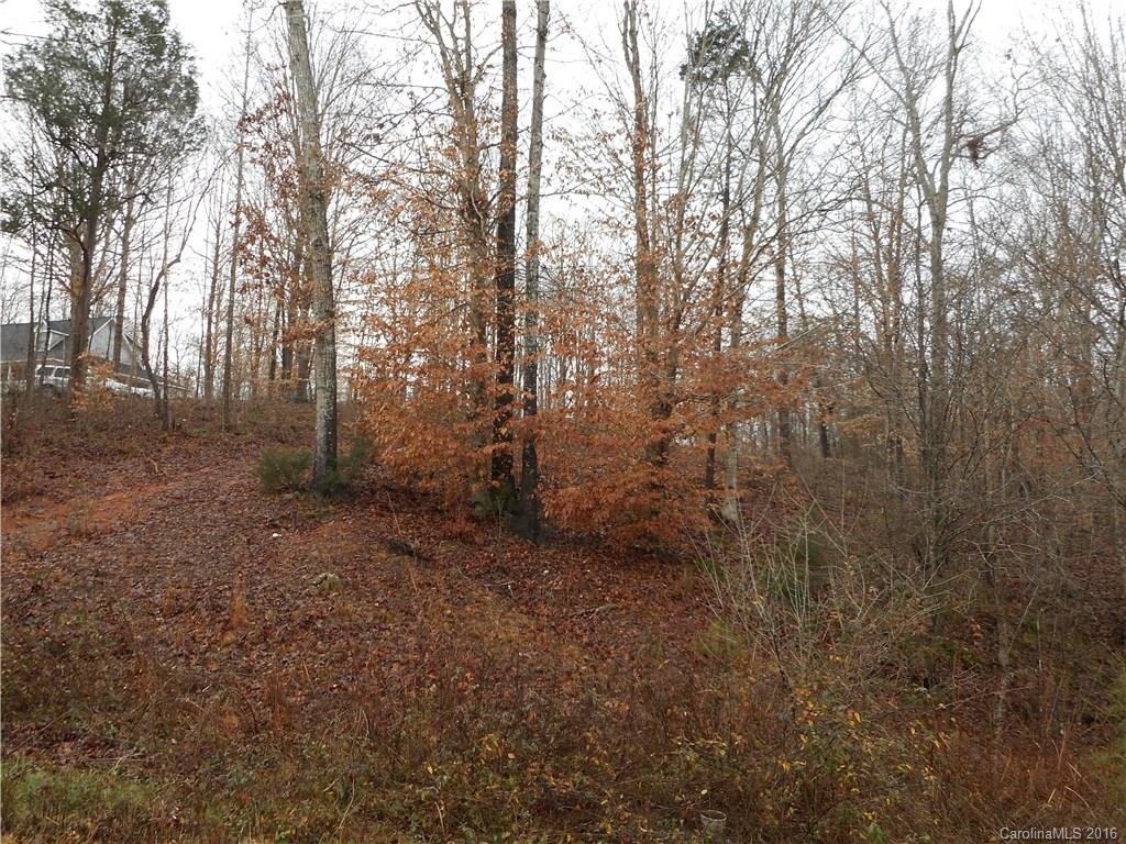 Property image 1 at 0000 Lazy Oak Drive, Lancaster, SC 29720